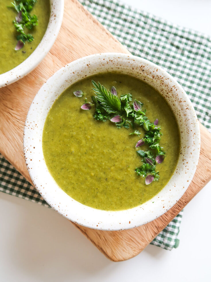 Nourishing Delight: Creamy Broccoli and Nettle Soup